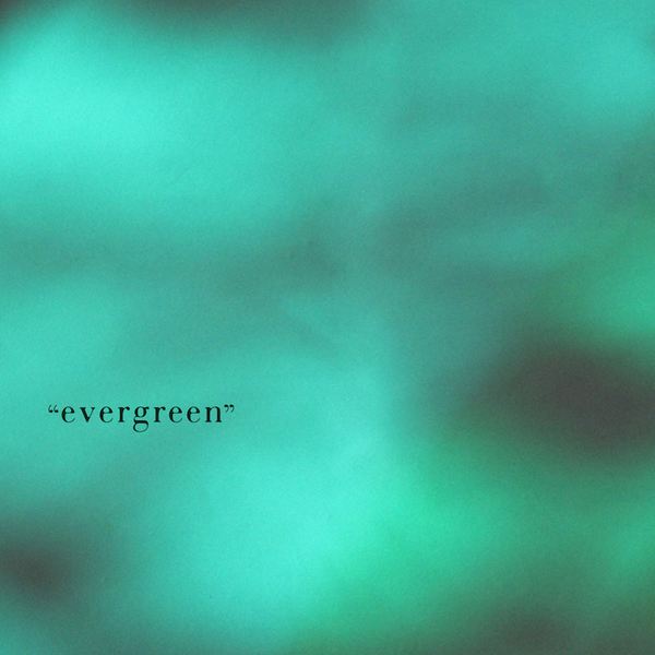 E&Y  30th Anniversary Exhibition  "evergreen" 