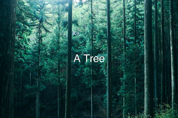 PROJECT|A Tree